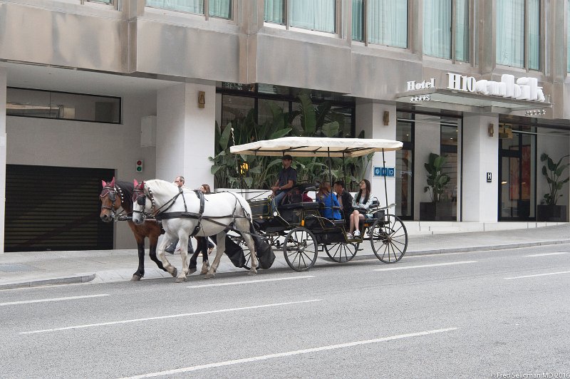 20160528_183017 D4S.jpg - Horse drawn carriage, Old Town Barcelona